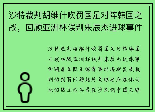 沙特裁判胡维什吹罚国足对阵韩国之战，回顾亚洲杯误判朱辰杰进球事件